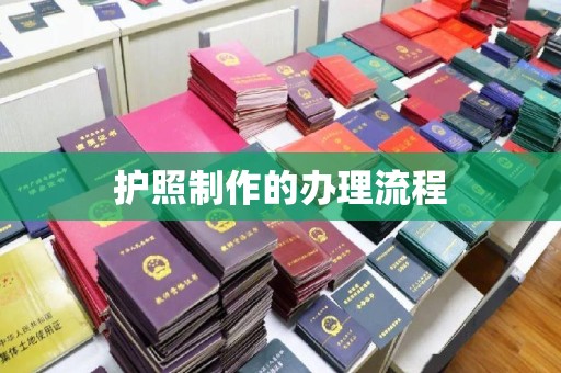 东川护照制作的办理流程