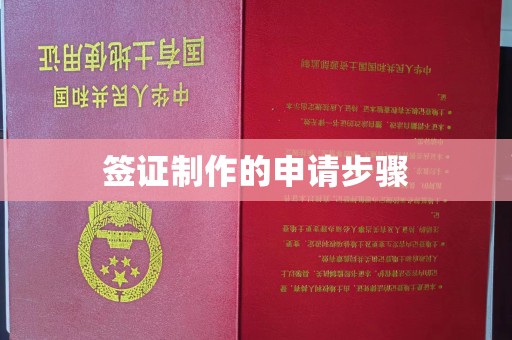 东川签证制作的申请步骤