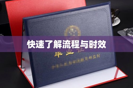 东川快速了解流程与时效