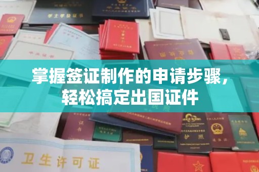 东川掌握签证制作的申请步骤，轻松搞定出国证件