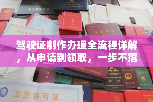 东川驾驶证制作办理全流程详解，从申请到领取，一步不落