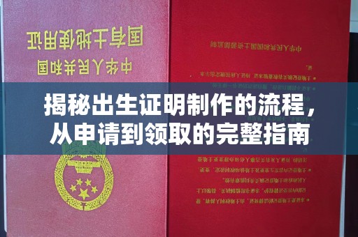 东川揭秘出生证明制作的流程，从申请到领取的完整指南