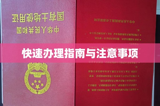 东川快速办理指南与注意事项